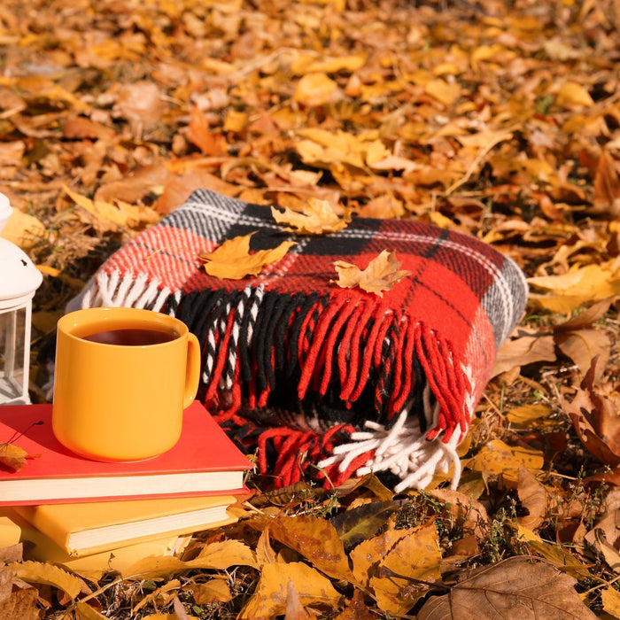 Stay Cozy With Fleece Throw Blankets for Fall, Football, and Charity