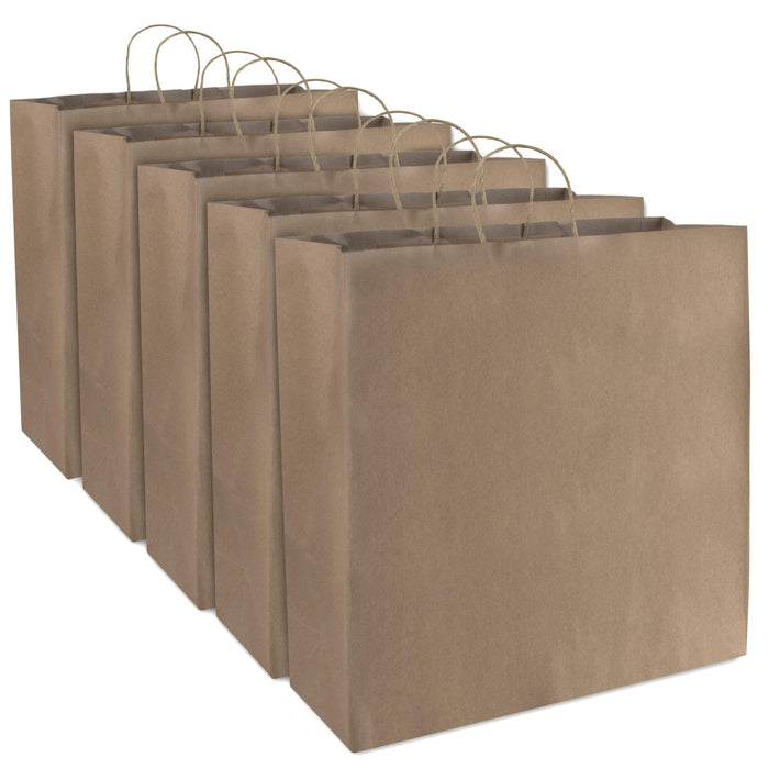 Wholesale 16 Inch Paper Shopping and Food Delivery Bags - 
