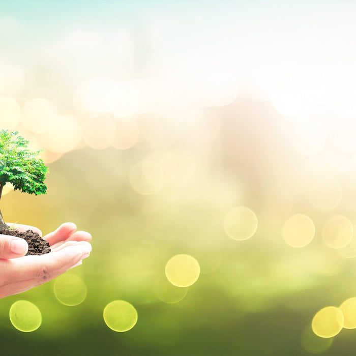 Reusable Bags: A Stylish and Practical Renewable Resource