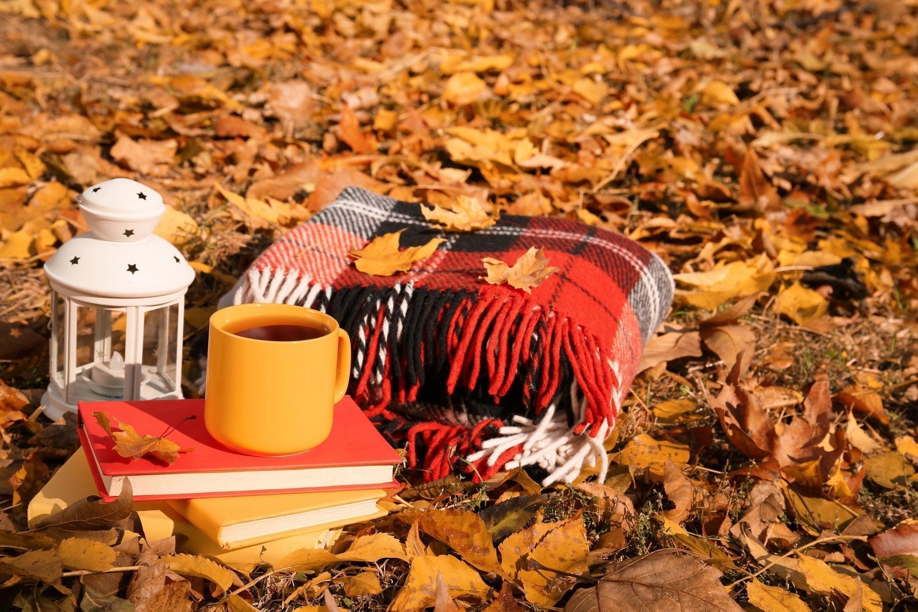 Stay Cozy With Fleece Throw Blankets for Fall, Football, and Charity
