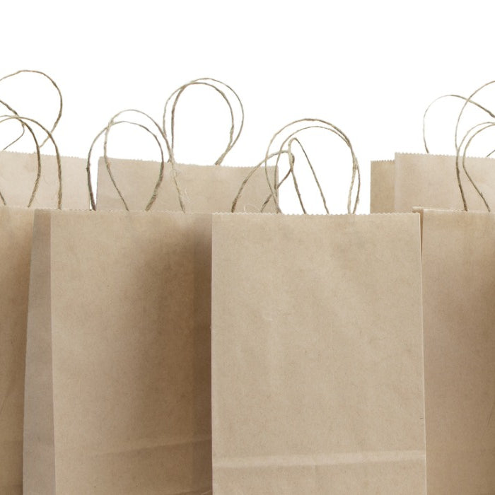 Reusable Shopping Bags are the Environmentally Smart Choice