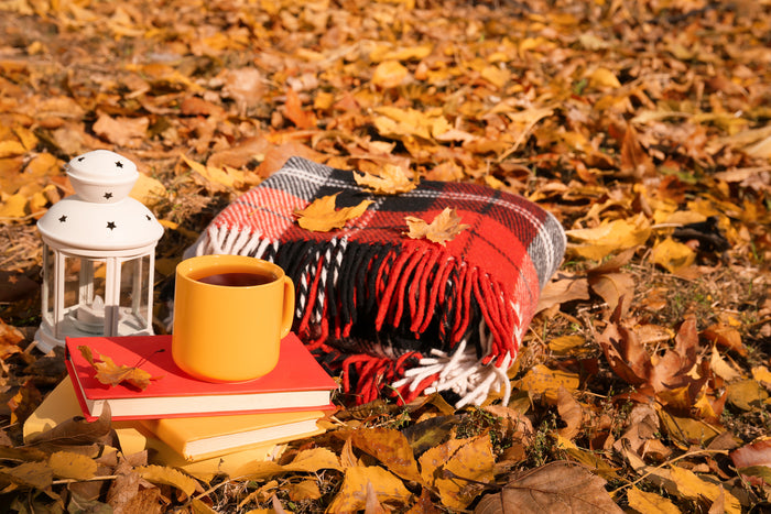 Stay Cozy With Fleece Throw Blankets for Fall, Football, and Charity