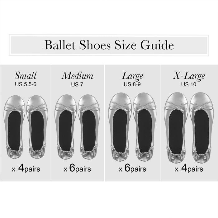 Women's Wedding Ballet Shoes With Display Box & Sign - Silver