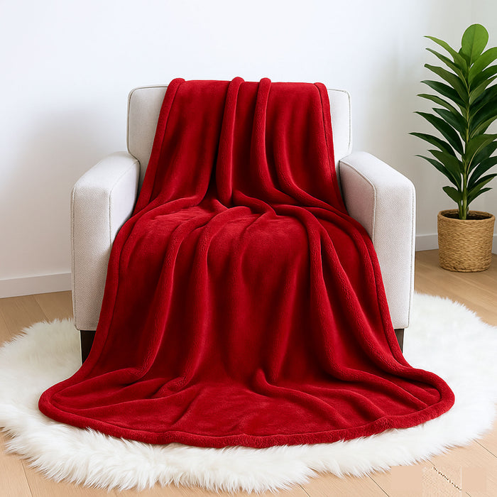 Teddy Fleece Throw Blankets 50" x 60"