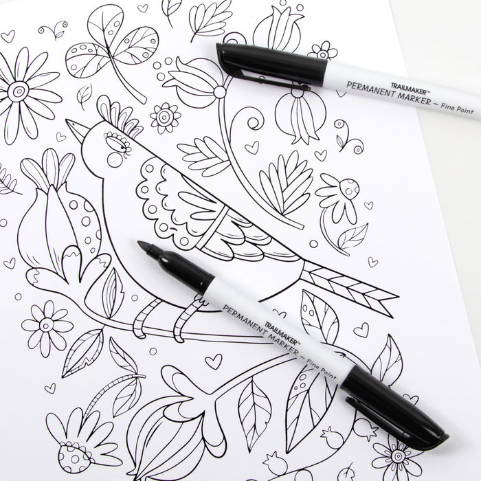 Bulk Trailmaker Fine Tip Permanent Markers - 3 Pack