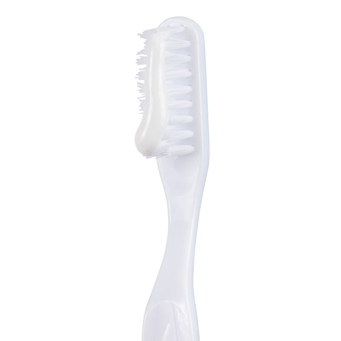 Toothbrush - 5 Color - BagsInBulk.com