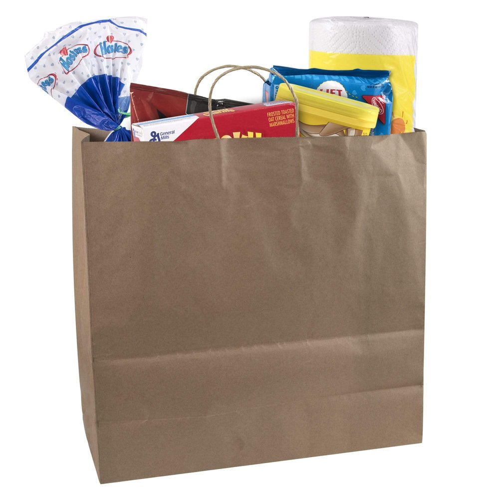 Wholesale 16 Inch Paper Shopping and Food Delivery Bags - 